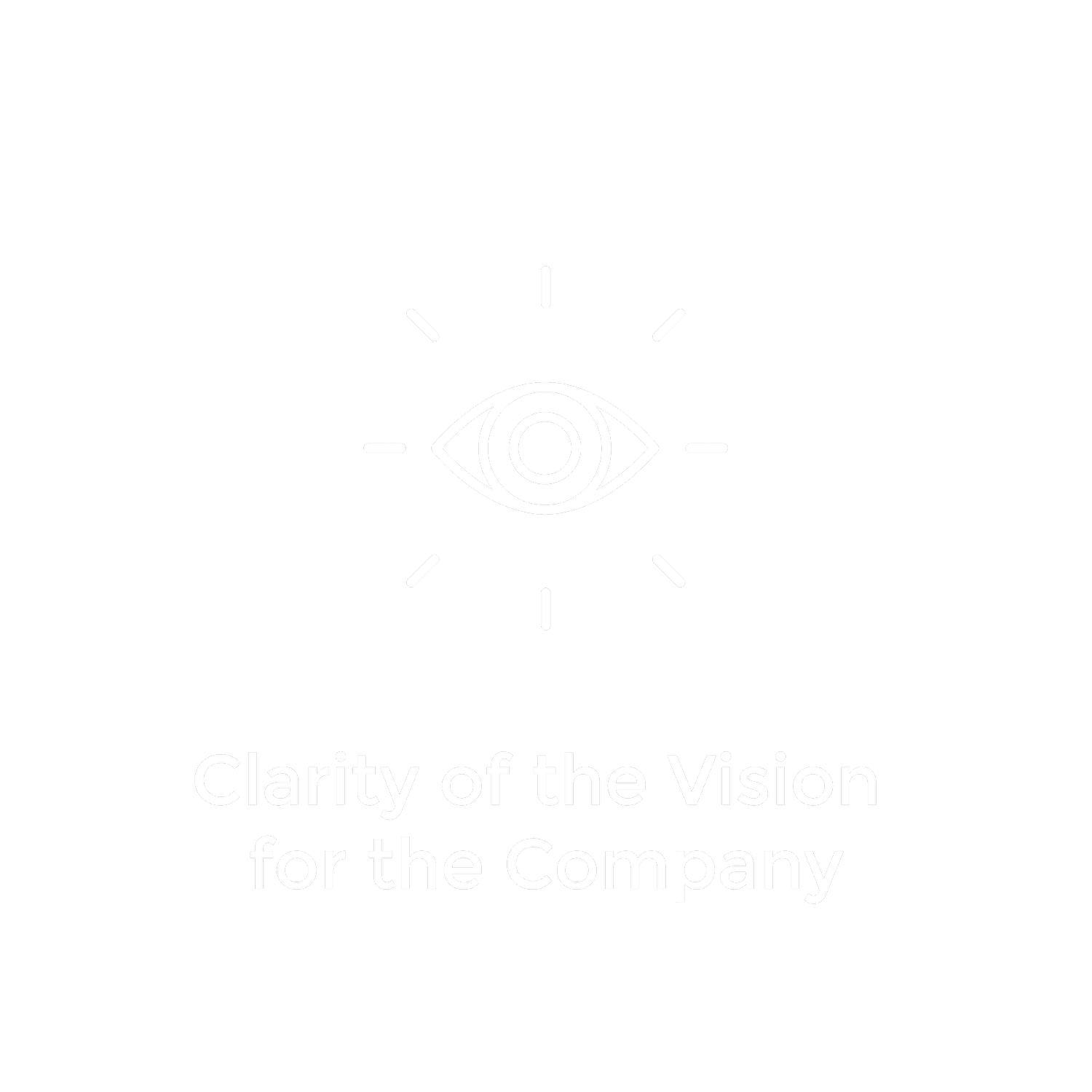 Clarity of the vision for the company